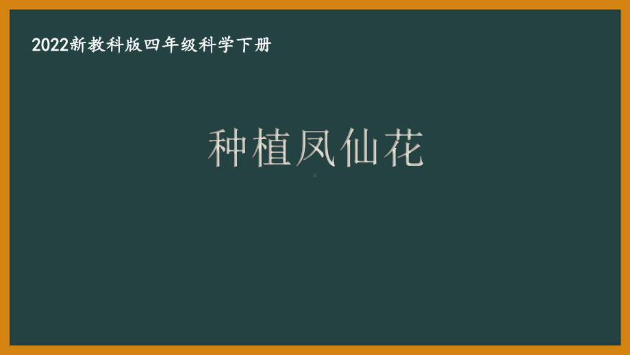 2022新教科版四年级科学下册第一单元《2种植凤仙花》课件.pptx_第1页