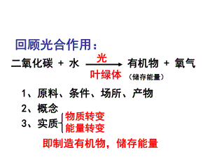 呼吸作用PPT优秀课件3-北师大版.ppt