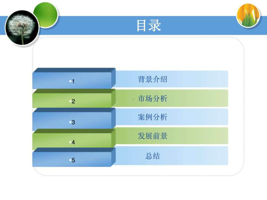 品牌策划方案-舒肤佳课件.ppt_第2页