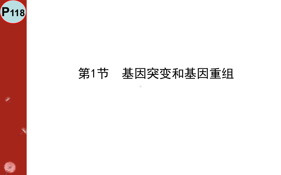 基因突变与基因重组简介课件.ppt_第2页