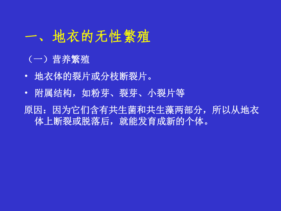 地衣的繁殖课件.ppt_第1页