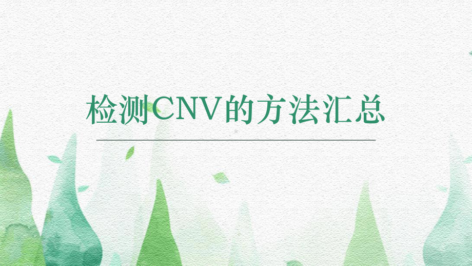 完整版CNV检测方案汇总课件.ppt_第1页