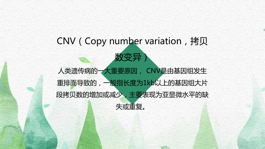 完整版CNV检测方案汇总课件.ppt_第2页