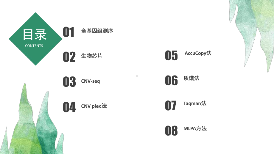 完整版CNV检测方案汇总课件.ppt_第3页