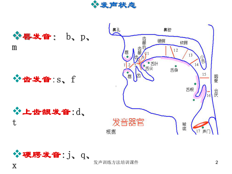 发声训练方法培训课件.ppt_第2页