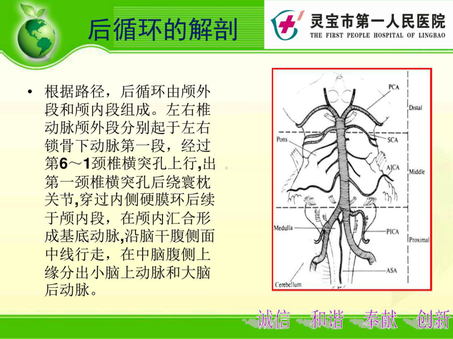 后循环缺血护理常规课件.ppt_第3页