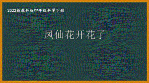 2022新教科版四年级科学下册第一单元《5凤仙花开花了》课件.pptx