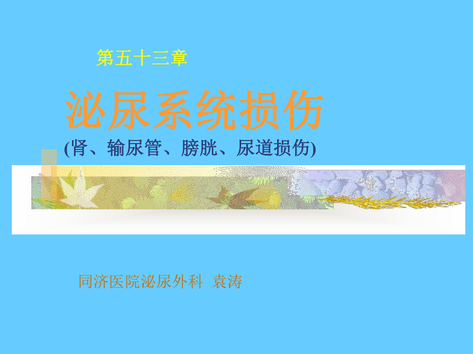 同济外科学课件之泌尿系统损伤.ppt_第1页