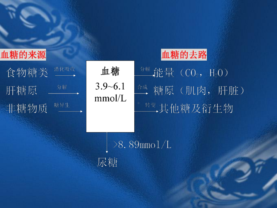 临床常用生化检查精讲课件.ppt_第3页