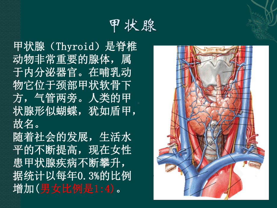 人卫版药理学第8版36甲状腺激素与抗甲状腺药-jwl课件.ppt_第3页