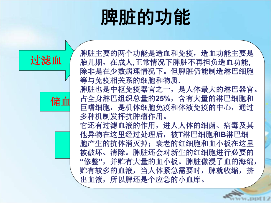 外伤性脾破裂的护理查房ppt课件.ppt_第3页