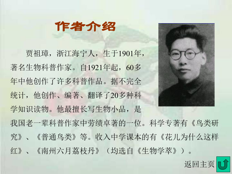 南州六月荔枝丹课件.ppt_第3页