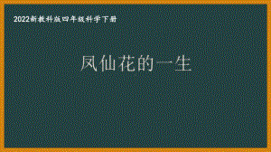 2022新教科版四年级科学下册第一单元《8凤仙花的一生》课件.pptx