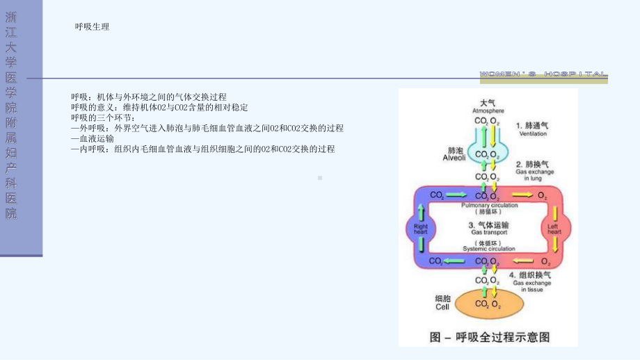 妇产科围手术期肺水肿课件.ppt_第2页