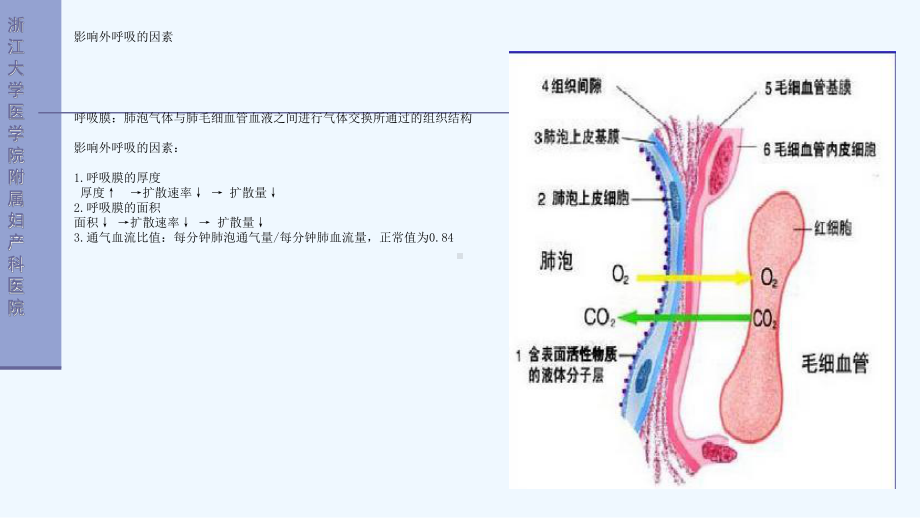 妇产科围手术期肺水肿课件.ppt_第3页