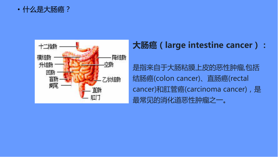 大肠癌科普讲座PPT演示课件.ppt_第3页