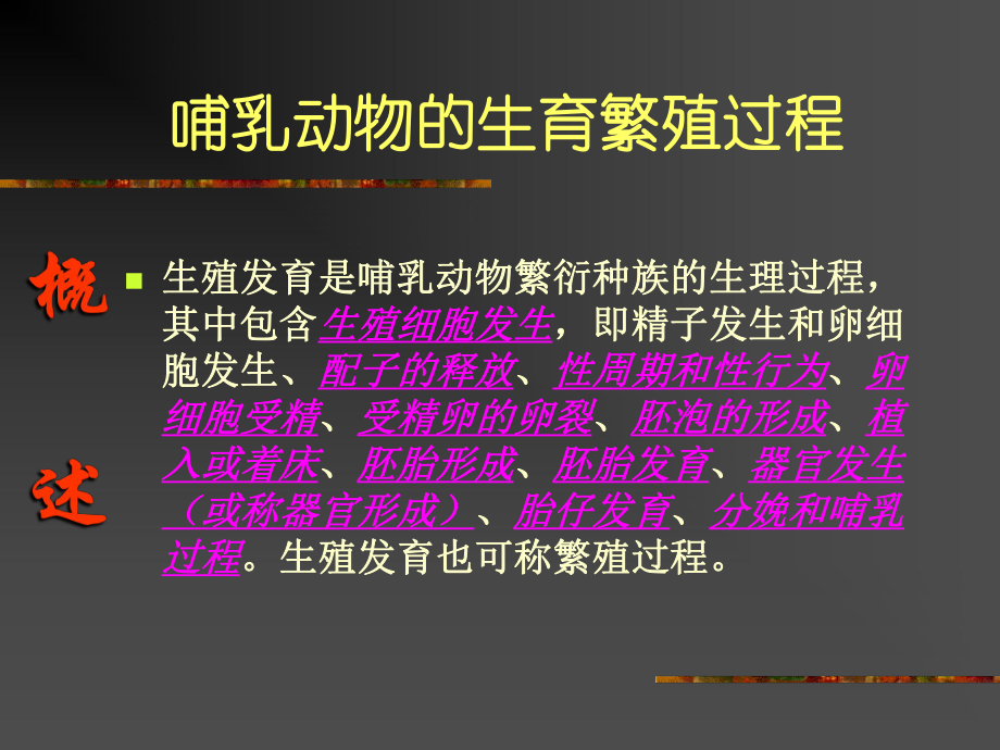 卫生毒理学生殖毒理学课件.ppt_第3页