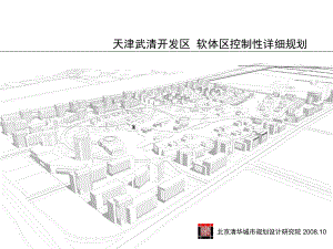 天津武清开发区软体区控制性详细规划课件.ppt