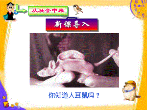 人体的器官移植课件.ppt