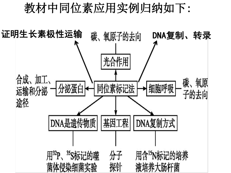 二轮复习专题细胞的分子组成与基本结构课件.ppt_第3页