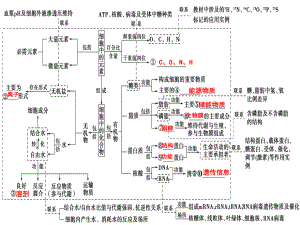 二轮复习专题细胞的分子组成与基本结构课件.ppt