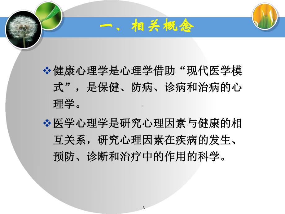 变态心理学ppt演示课件.ppt_第3页