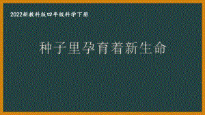 2022新教科版四年级科学下册第一单元《植物的生长变化》全部课件（共8节课）.pptx