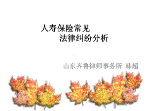 人寿保险常见法律纠纷分析概述课件.ppt