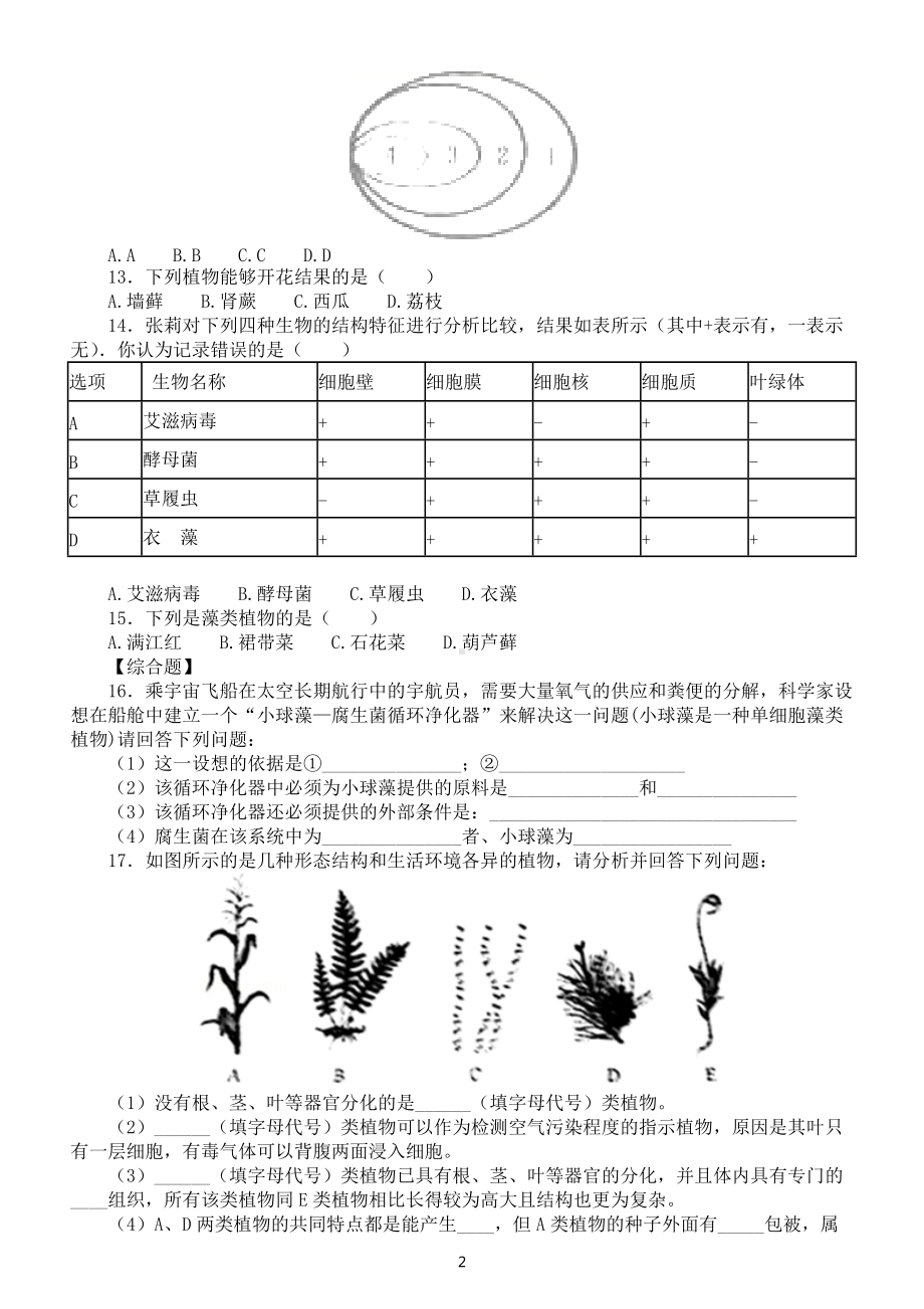 初中生物中考总复习《生物圈中的绿色植物》专项练习（附参考答案）.docx_第2页