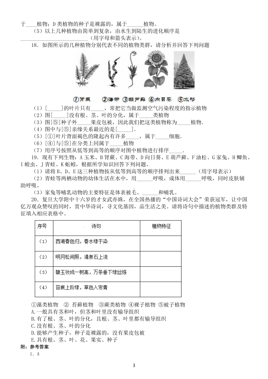 初中生物中考总复习《生物圈中的绿色植物》专项练习（附参考答案）.docx_第3页