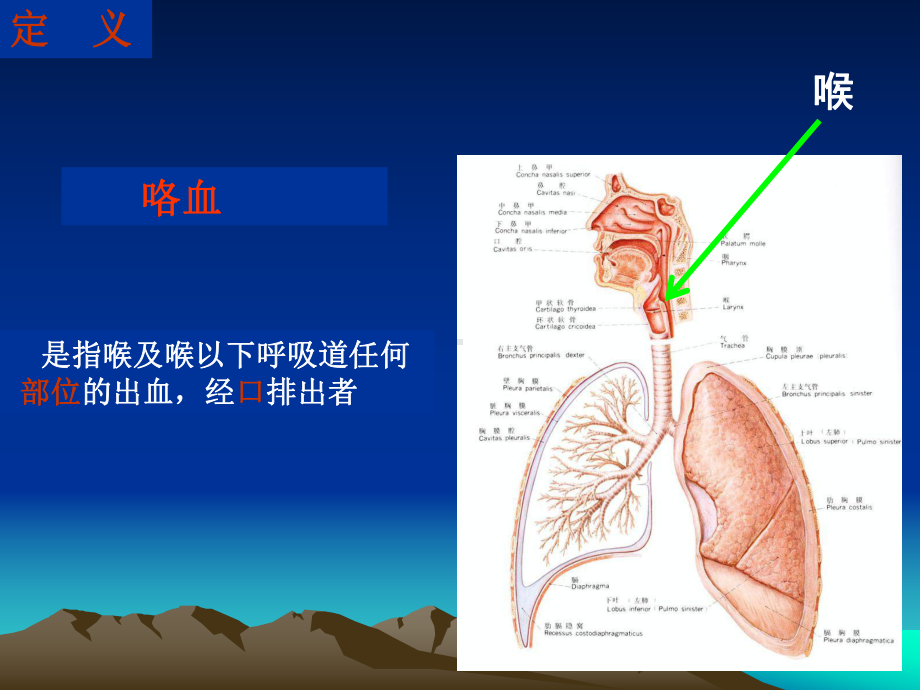 咯血课件.ppt_第2页