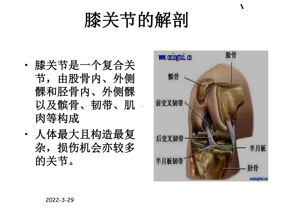 人工膝关节置换适应症及术前最佳状态课件.ppt_第3页