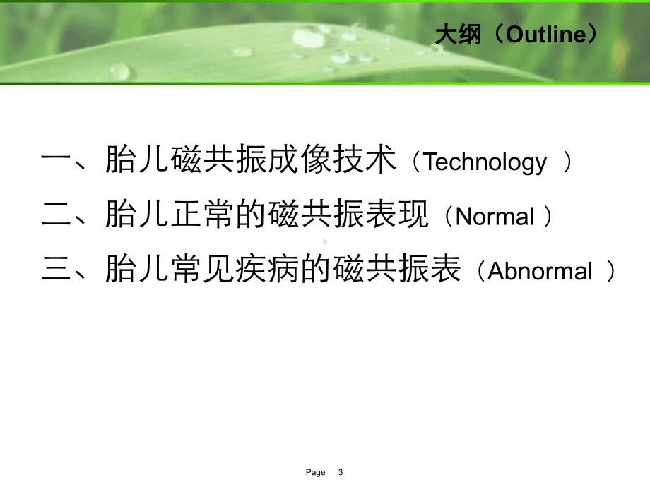 完整版胎儿磁共振成像课件.ppt_第3页