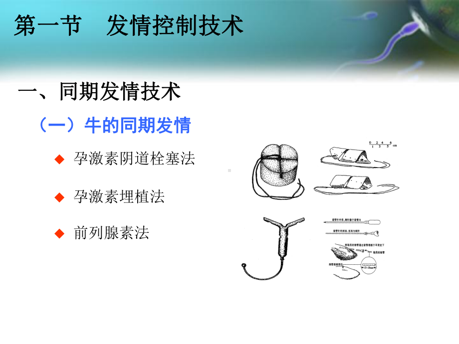 发情排卵及分娩的控制课件.ppt_第3页