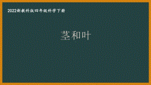 2022新教科版四年级科学下册第一单元《4茎和叶》课件.pptx