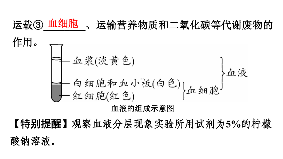 中考生物复习：人体内的物质运输ppt-济南版课件.ppt_第3页