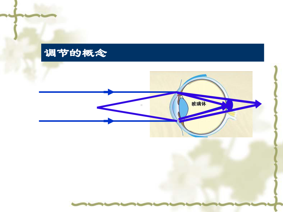 一调节与集合课件.ppt_第2页