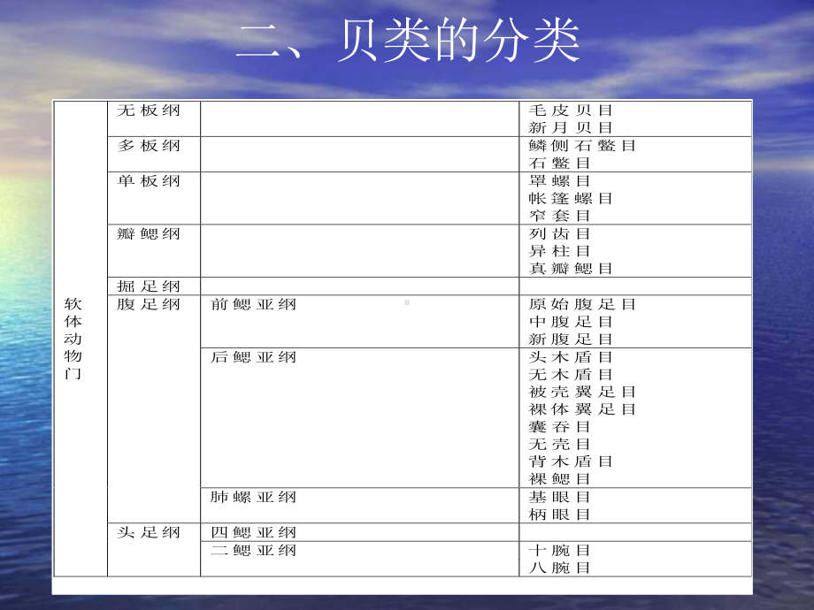 一贝类的主要特性课件.ppt_第2页