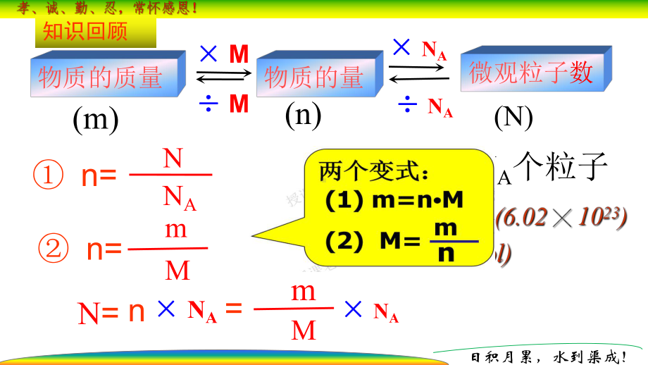 2.3 物质的量 （课时2）ppt课件-（2019）新人教版高中化学必修第一册.pptx_第2页