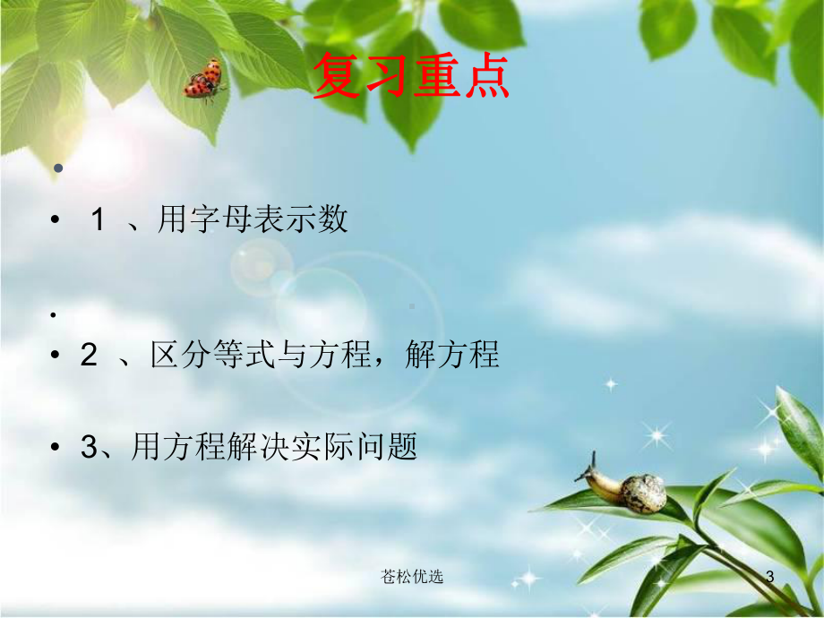 式与方程-整理复习(基础资料)课件.ppt_第3页