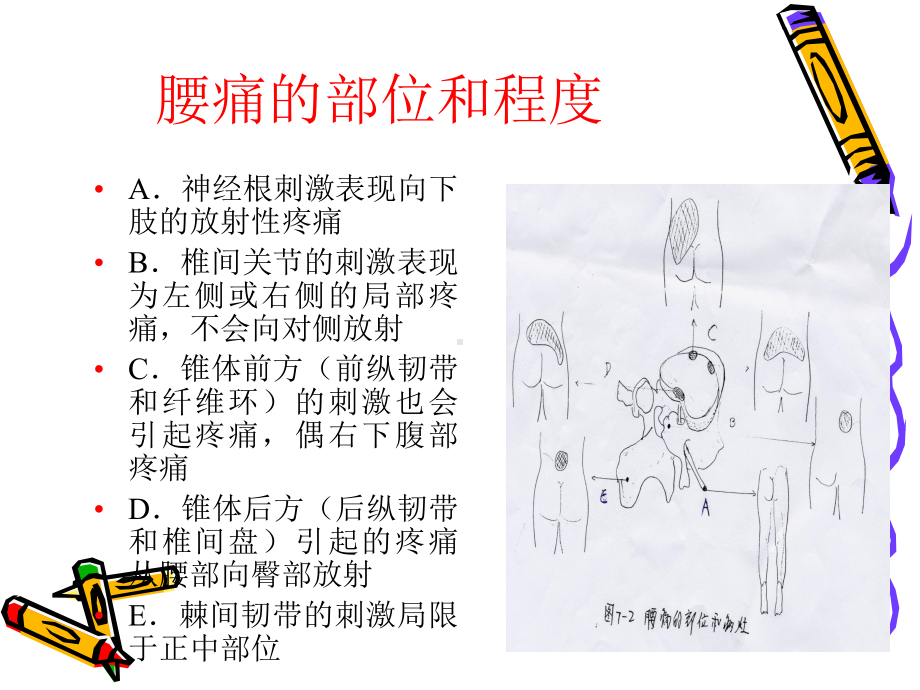 下腰痛的体操课件.ppt_第3页