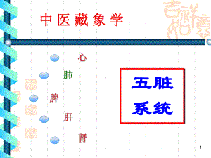 中医基础理论藏象-肺PPT医学课件.ppt