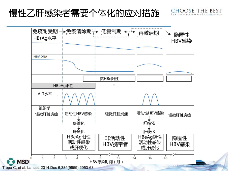 干扰素治疗慢性乙型肝炎的优化治疗课件.ppt_第3页