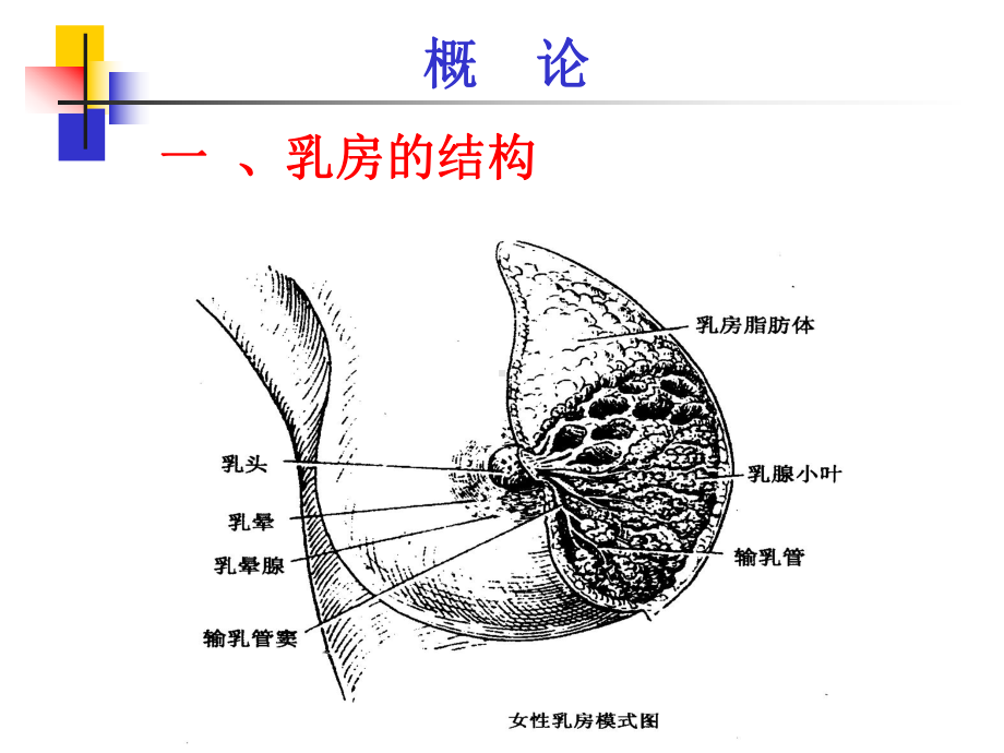 中医外科学课件.ppt_第2页