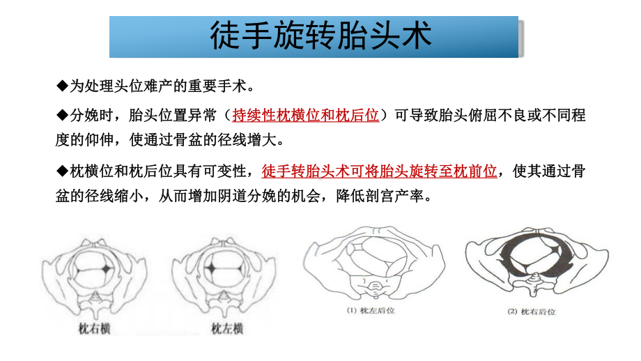 徒手旋转胎方位课件.ppt_第2页