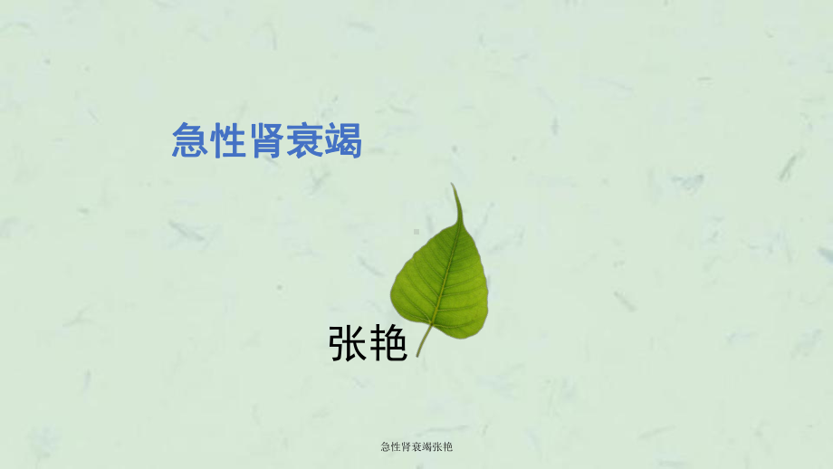 急性肾衰竭张艳课件.ppt_第1页