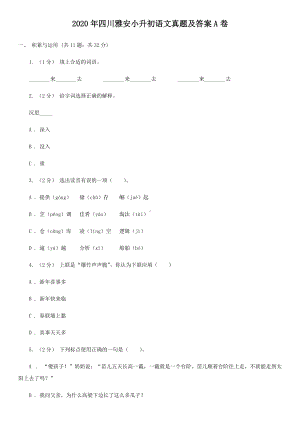 2020年四川雅安小升初语文真题及答案A卷.doc