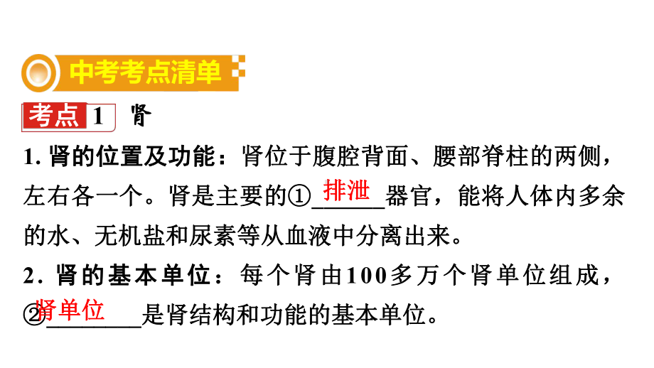 中考生物复习：人体内代谢废物的排出ppt-济南版课件.ppt_第2页