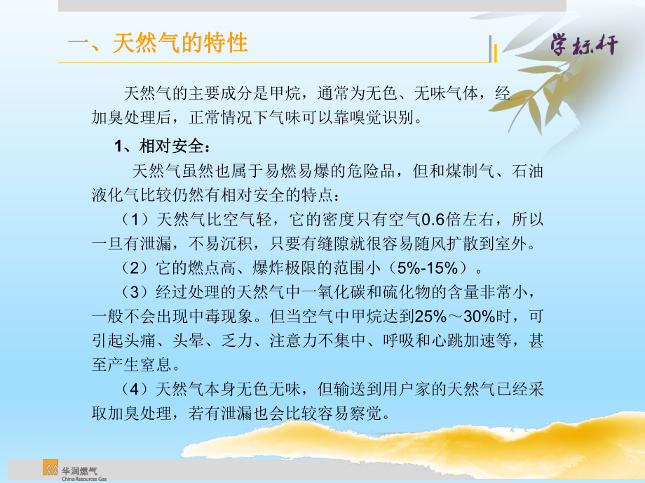 工商业用燃气安全培训课件.ppt_第3页