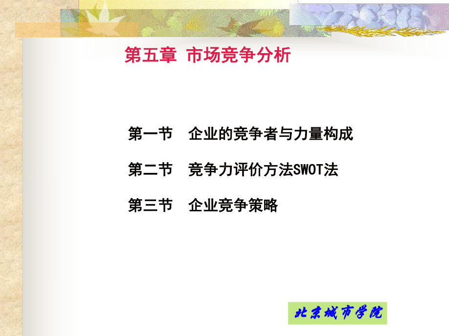 市场竞争分析课件.ppt_第2页